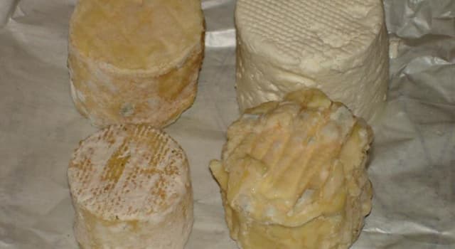 Culture Question: Le chèvre est une variété de fromage français fabriqué à partir du lait de quel animal ?