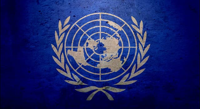 Società Domande: Nel 2015, le Nazioni Unite hanno celebrato quale anniversario?