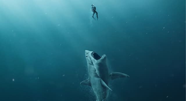 Cinema & TV Domande: Quale attore interpreta Jonas Taylor nel film del 2018 "Shark - Il primo squalo"?