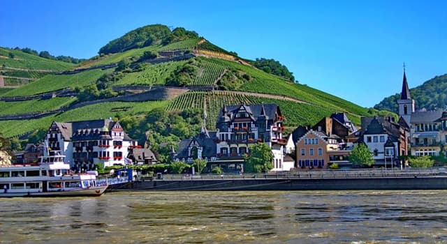 Natura Domande: Quale importante raccolto viene praticato nella Gola del Reno in Germania?