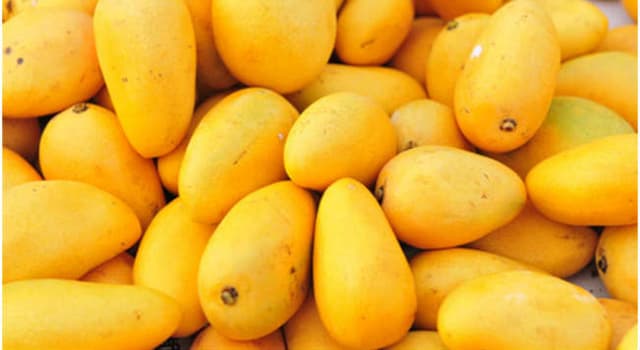 Société Question: Quel pays est le plus grand producteur de mangues ?