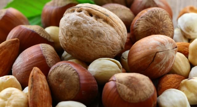 Nature Question: Quelle noix consommée par l'homme a la plus forte teneur en matières grasses ?
