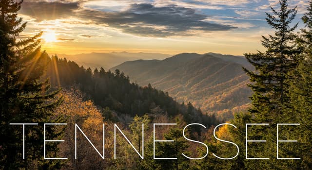 Culture Question: Selon la chanson, qui est né en haut d'une montagne dans le Tennessee  ?