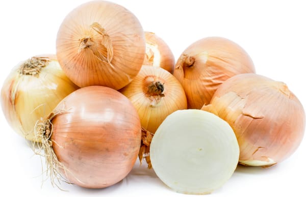 Nature Trivia Question: The onion belongs to which plant family?
