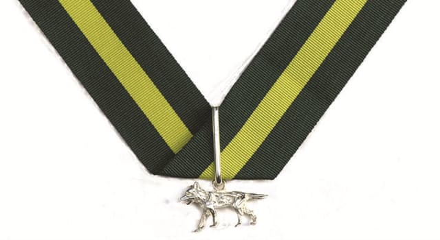 Culture Trivia Question: The Silver Wolf is the highest award in which organisation?
