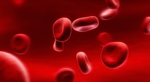 科學 小問題：哪种血型的人有時被稱為“萬能輸血者（universal blood donor type）”？