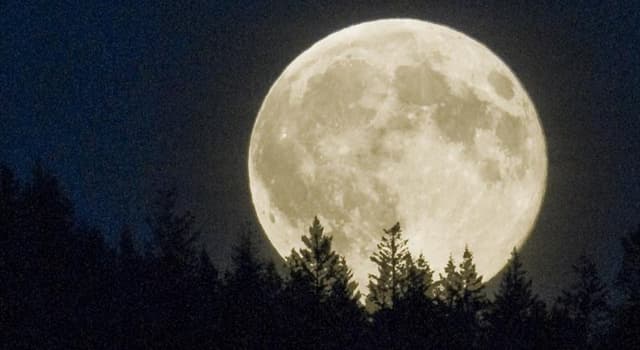 Wetenschap Trivia Vraag: Waarom lijkt de volle maan zo groot als hij opkomt, en zo klein bij middernacht?