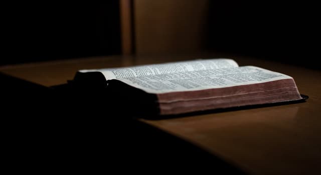 Kultur Wissensfrage: Was bedeutet das Wort "Bibel"?