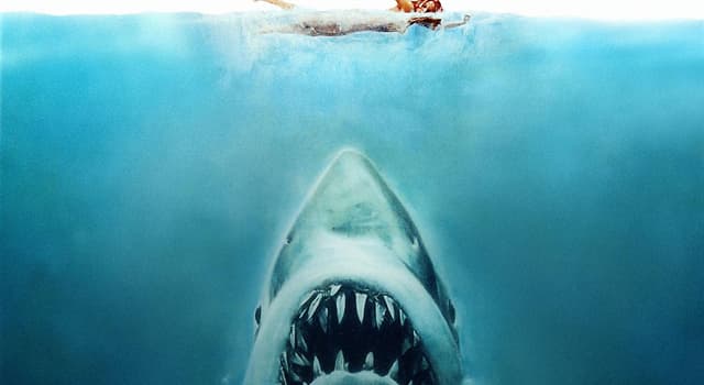 Films & TV Trivia Vraag: Wat is de naam van het eiland in de film "Jaws" uit 1975?