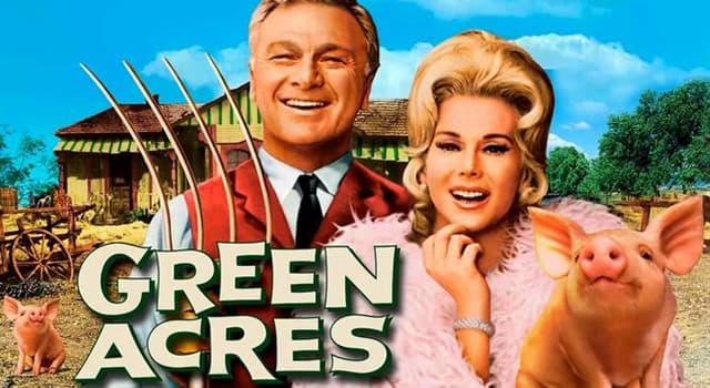 Films & TV Trivia Vraag: Wat is de naam van het huisdiervarken dat eigendom was van de heer en mevrouw Ziffel op Green Acres?