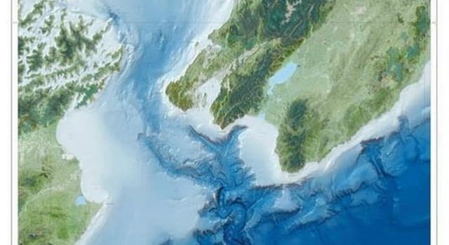 Geographie Wissensfrage: Welche Meerenge verläuft zwischen der Nordinsel und der Südinsel von Neuseeland?