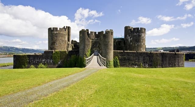 Natuur Trivia Vraag: Welke groente is het nationale symbool van Wales?