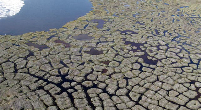 科學 小問題：對陸地水的研究被稱為什麼?