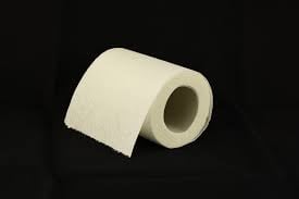 History Trivia Question: Who invented the first packaged toilet paper in the US?
