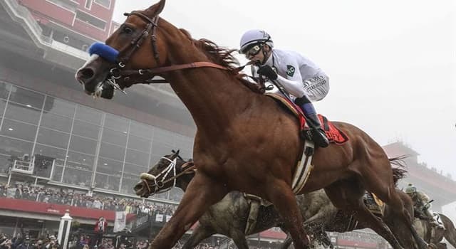 Sport Trivia Question: As of 2019, which horse won the American Triple Crown that did not race as a two-year-old?