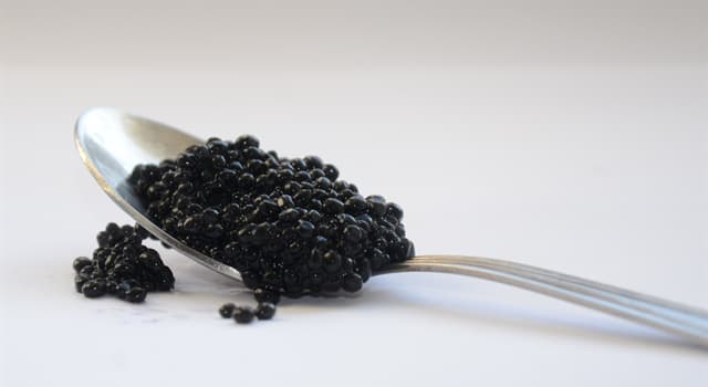 Nature Trivia Question: Black caviar is the common name for caviar of which fish?