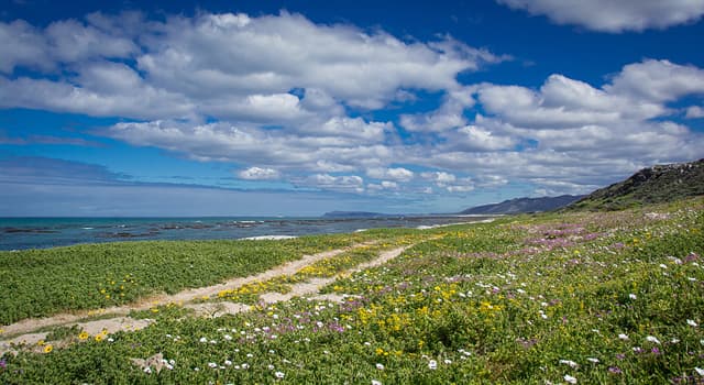 地理 小問題：厄加勒斯角（Cape Agulhas）是哪個大陸的最南端?