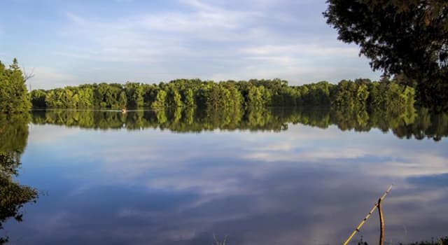 natura Pytanie-Ciekawostka: Co jest największą rybą słodkowodną świata?