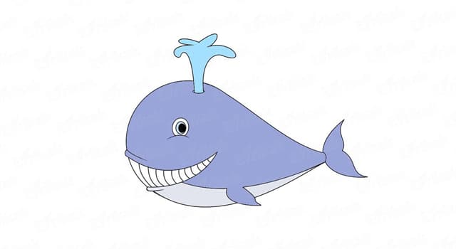 Nature Question: Comment s'appelle l'orifice situé sur la tête de la baleine ?