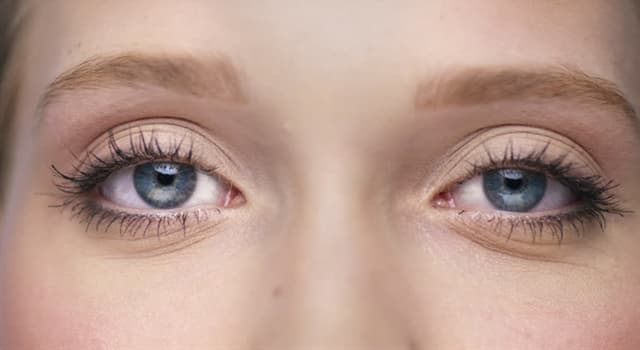 Scienza Domande: Diplopia è il termine medico per quale condizione oculare?