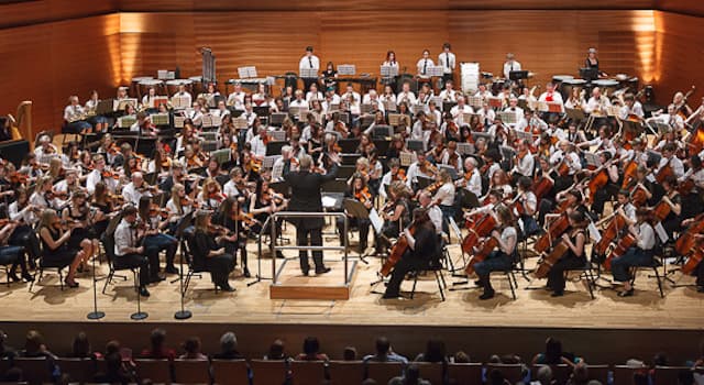 Cultura Domande: Dov'è che la più grande orchestra di sempre suonò un medley di "Waltzing Matilda" nel 2013?