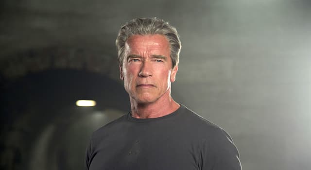 Società Domande: Dov'è nato Arnold Schwarzenegger?