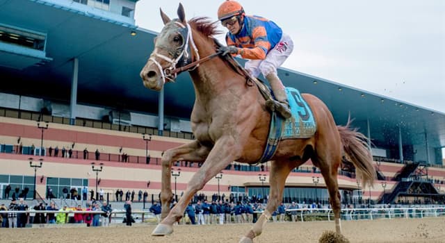 Sport Trivia Vraag: Hoe oud zijn paarden die in Kentucky Derby rennen?