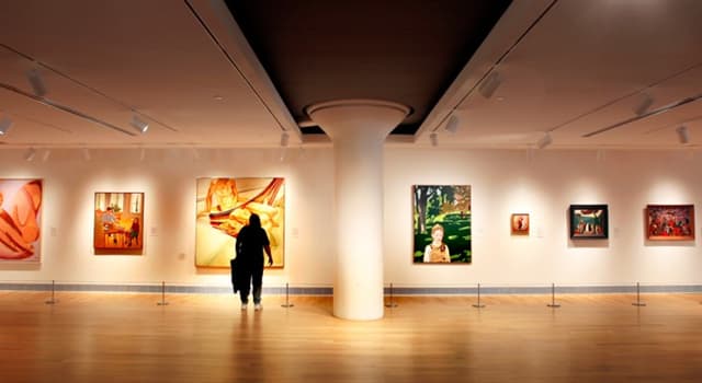 Cultura Domande: In base all'area espositiva, qual è il più grande museo d'Arte negli Stati Uniti?