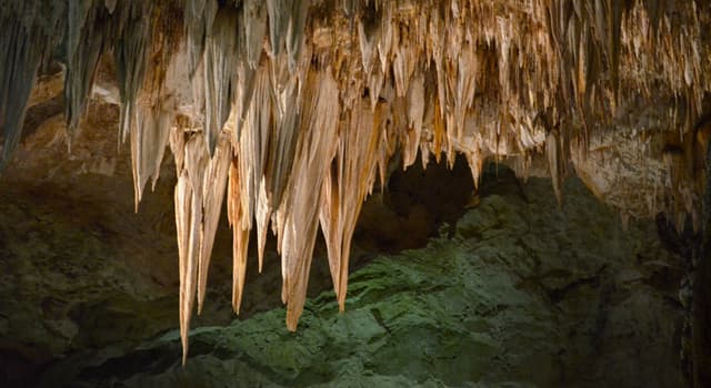 природа Запитання-цікавинка: Як називаються хемогенние відкладення в карстових печерах у вигляді утворень, звисають зі стелі?