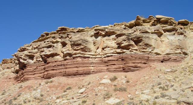 Scienza Domande: L'arenaria, roccia calcarea e gesso sono membri di quale classificazione di rocce?