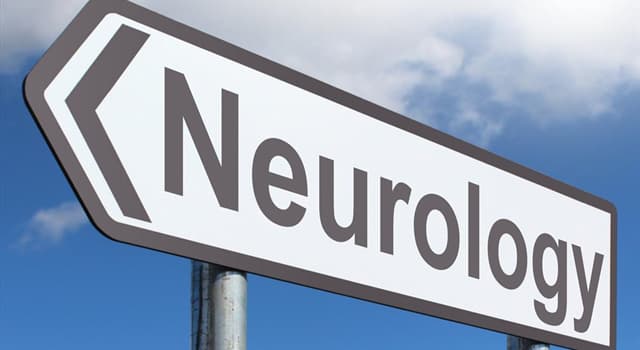Science Question: La neurologie est l'étude de quoi ?