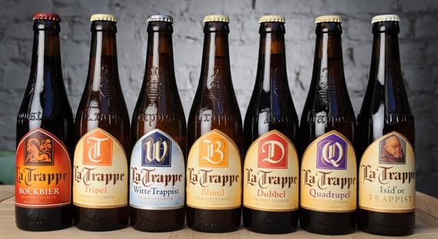 文化 小問題：La Trappe（特拉普）啤酒是由什麼人釀造的?