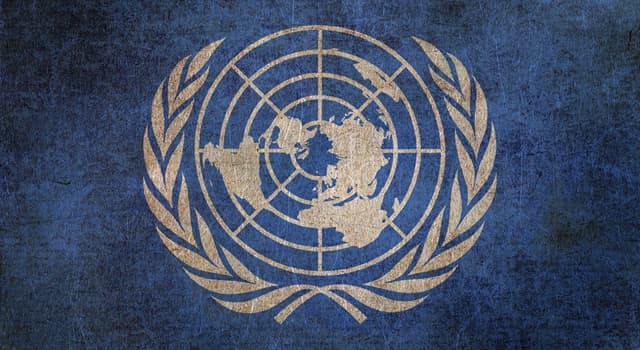 Société Question: Lequel d'entre eux est un organisme des Nations Unies ?
