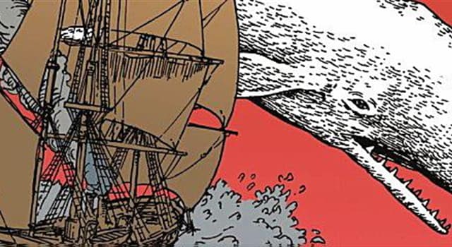 Cultura Domande: Nel romanzo, Moby Dick, come si chiama la nave baleniera usata dal Capitano Achab?