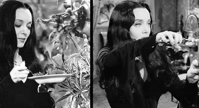 Filmes & TV Pergunta Trivial: No programa de TV "A Família Addams", como é chamada a planta carnívora de Mortícia?