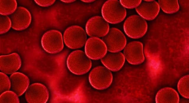 Scienza Domande: Qual è il gruppo sanguigno più comune?