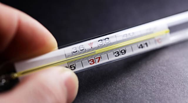 Società Domande: Qual è la temperatura più bassa registrata su un corpo ancora in vita?