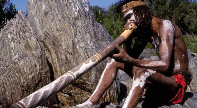 Culture Question: Quel est le bois traditionnel utilisé dans la fabrication d'un authentique didgeridoo australien ?