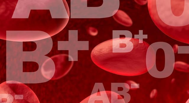 Nature Question: Quel est le groupe sanguin le plus rare ?