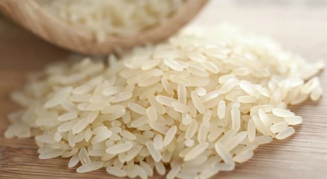 Nature Question: Quel type de plante est le riz ?