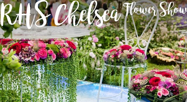 Histoire Question: Quelles elements ont été interdites au Chelsea Flower Show jusqu'en 2013 ?