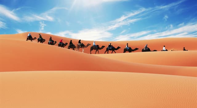 Geografia Domande: Timbuktu si trova ai margini di quale deserto?