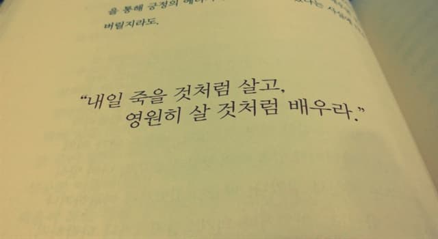 문화 상식 퀴즈: "내일 죽을 것처럼 살고, 영원히 살 것처럼 배우라." 이것은 누가 남긴 명언일까요?