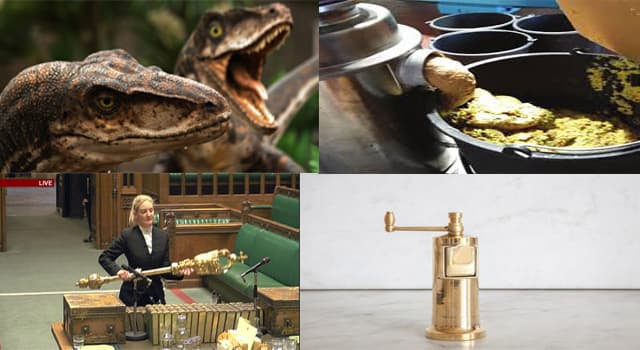 Samhälle Triviafråga: Vad är en avfallskvarn?