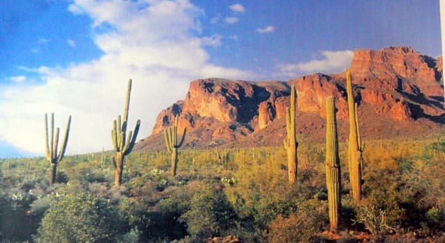 Aardrijkskunde Trivia Vraag: Waar bevinden de Superstition Mountains zich?