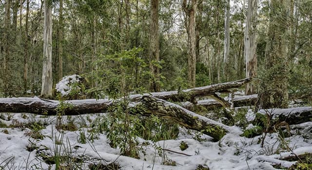 Aardrijkskunde Trivia Vraag: Wanneer begint de winter in Australië?