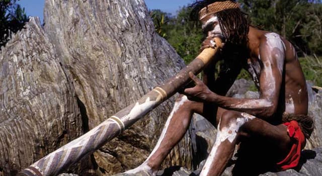 Cultuur Trivia Vraag: Wat is het traditionele hout dat wordt gebruikt bij het maken van een echte Australische didgeridoo?