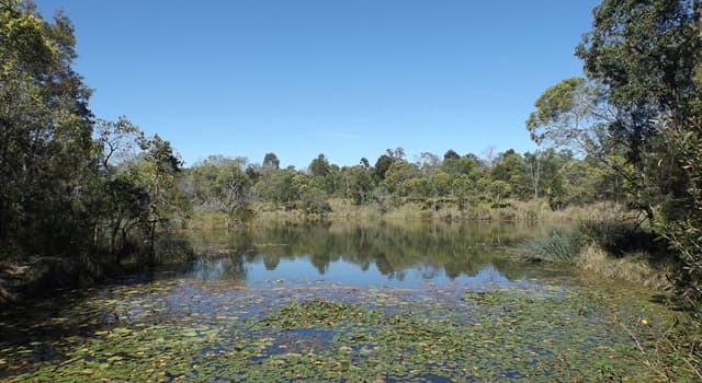 Natuur Trivia Vraag: Wat is in Australië een Billabong?