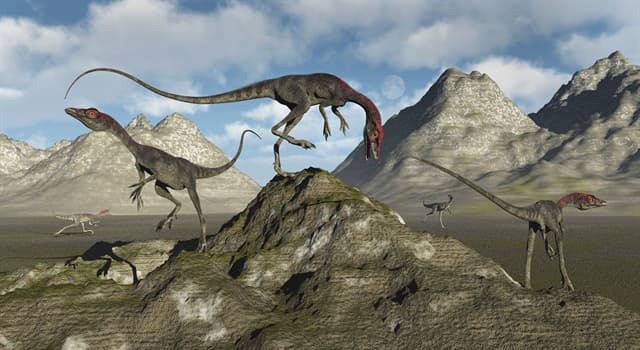 Nature Trivia Question: What did the Compsognathus eat?