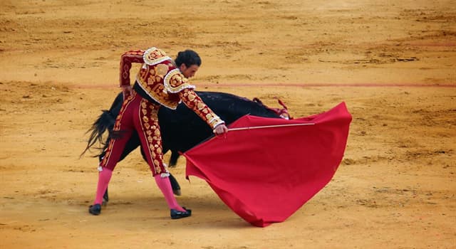 Culture Trivia Question: What is Spanish-style bullfighting usually called?